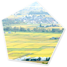 払いすぎた相続税が返ってくる！？